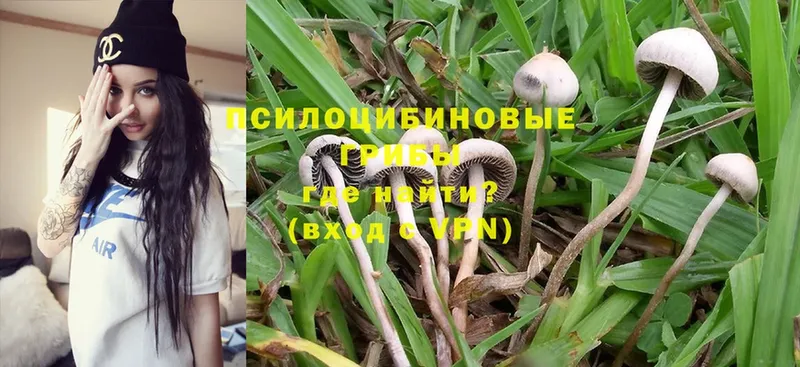 Галлюциногенные грибы MAGIC MUSHROOMS  кракен tor  Долинск 